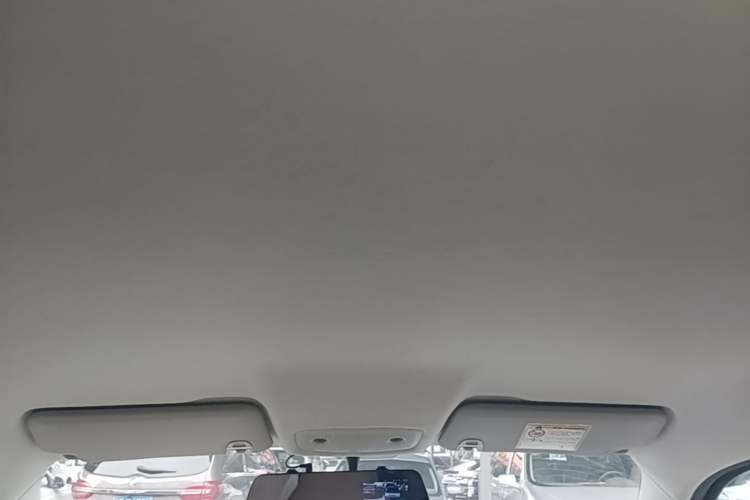 Used Leapmotor T03 2024 403 Comfort Edition Headliner