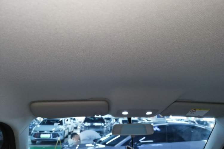 Used Leapmotor T03 2024 310 Comfort Edition Headliner