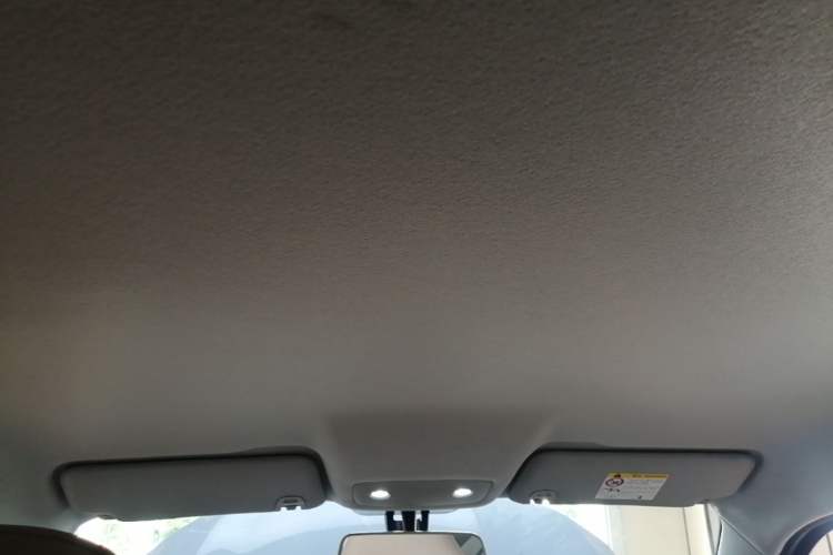Used Leapmotor T03 2024 310 Comfort Edition Headliner