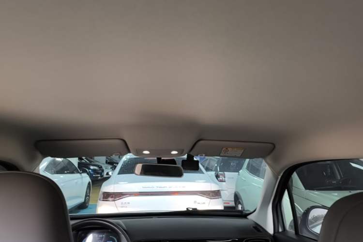 Used Leapmotor T03 2024 403 Comfort Edition Headliner