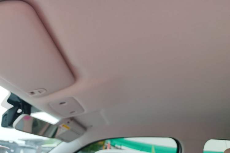 Used Leapmotor T03 2024 403 Comfort Edition Headliner
