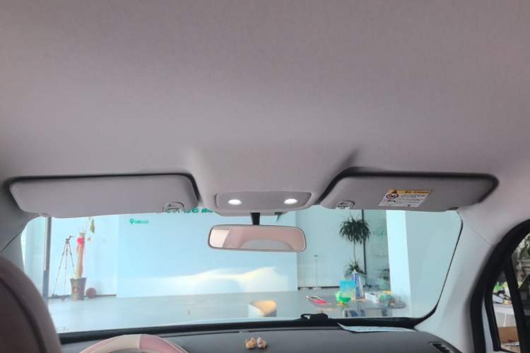 Used Leapmotor T03 2024 310 Comfort Edition Headliner