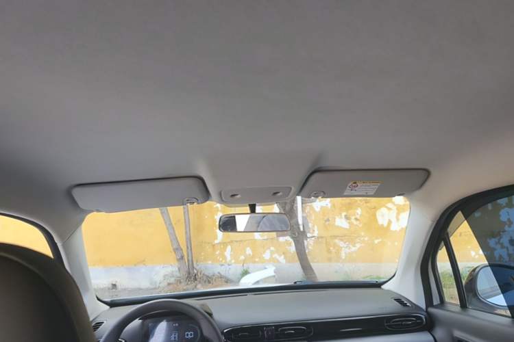 Used Leapmotor T03 2024 200 Lite Edition Headliner