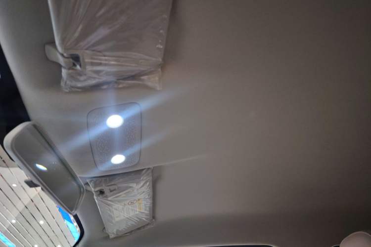 Used Leapmotor T03 2024 310 Comfort Edition Headliner
