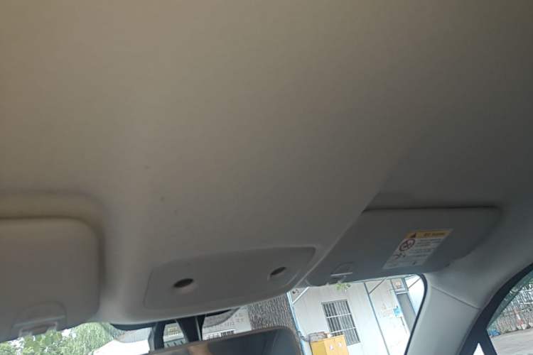 Used Leapmotor T03 2024 310 Comfort Edition Headliner