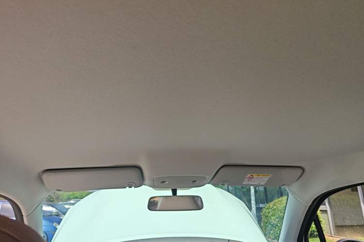 Used Leapmotor T03 2024 310 Comfort Edition Headliner
