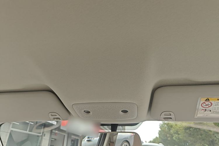 Used Leapmotor T03 2024 310 Comfort Edition Headliner