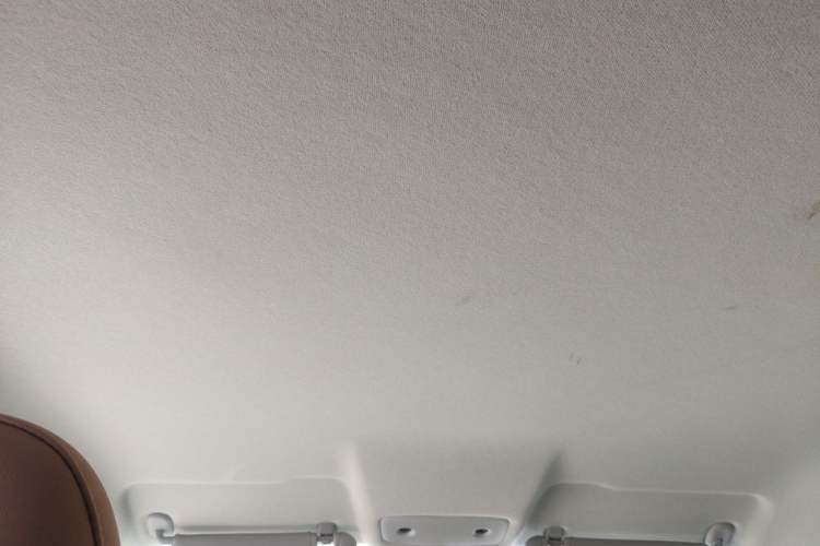 Used Leapmotor T03 2024 310 Comfort Edition Headliner