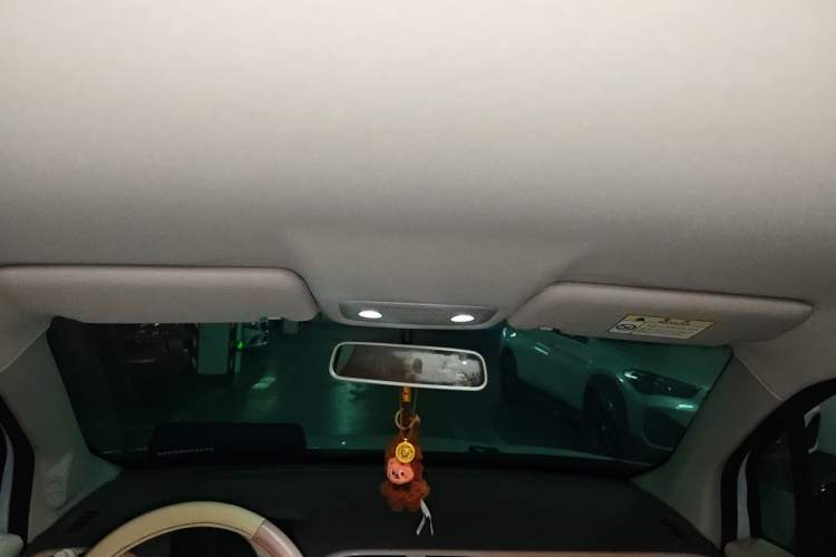 Used Leapmotor T03 2024 403 Comfort Edition Headliner
