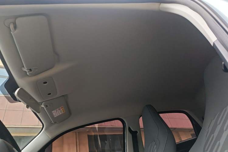 Used Leapmotor T03 2024 310 Comfort Edition Headliner