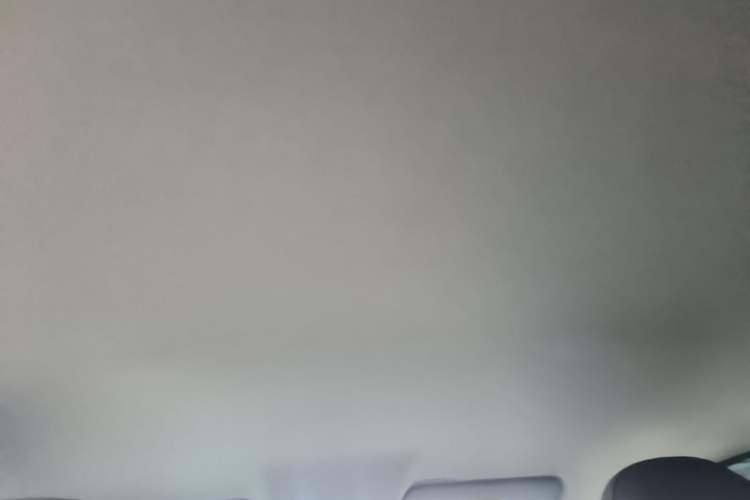 Used Leapmotor T03 2024 310 Comfort Edition Headliner