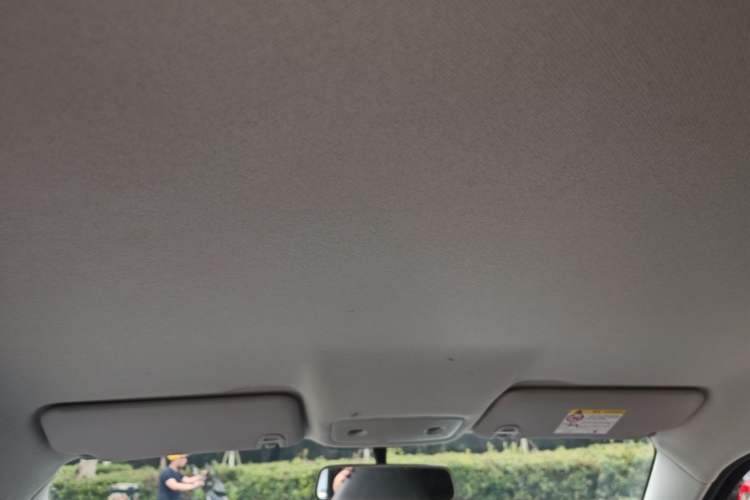 Used Leapmotor T03 2024 310 Comfort Edition Headliner