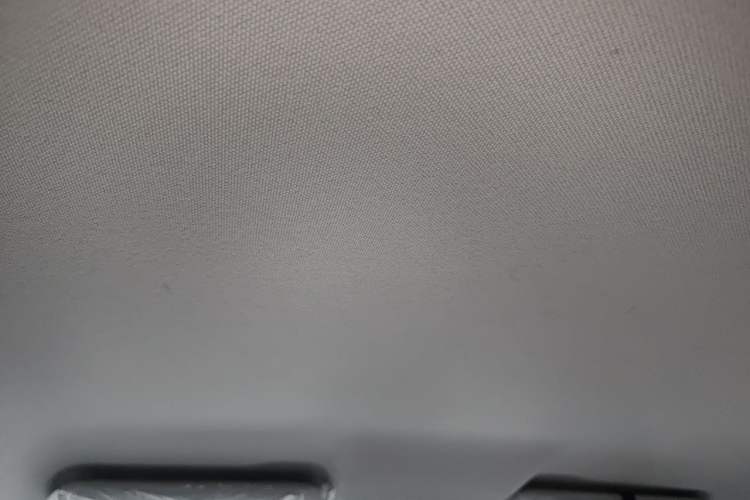 Used Leapmotor T03 2024 310 Comfort Edition Headliner