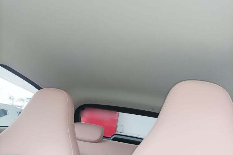 Used Leapmotor T03 2024 310 Comfort Edition Headliner