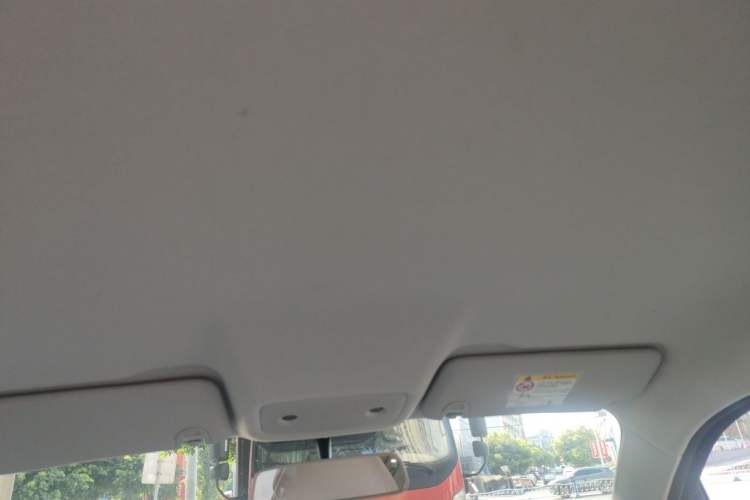 Used Leapmotor T03 2024 200 Lite Edition Headliner
