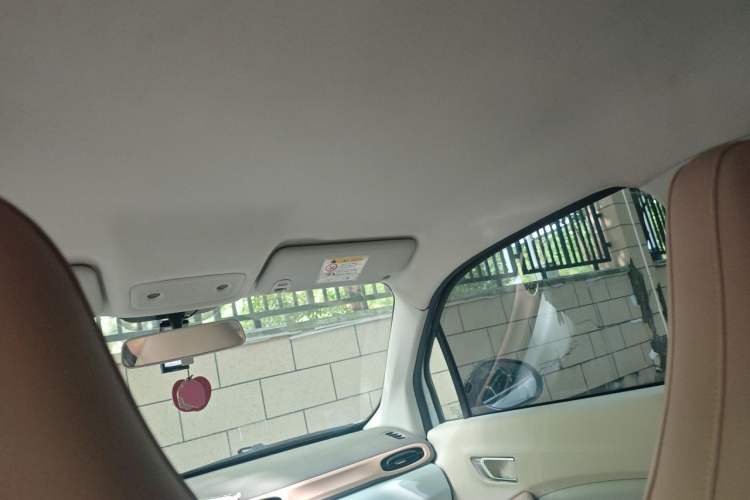 Used Leapmotor T03 2024 310 Comfort Edition Headliner