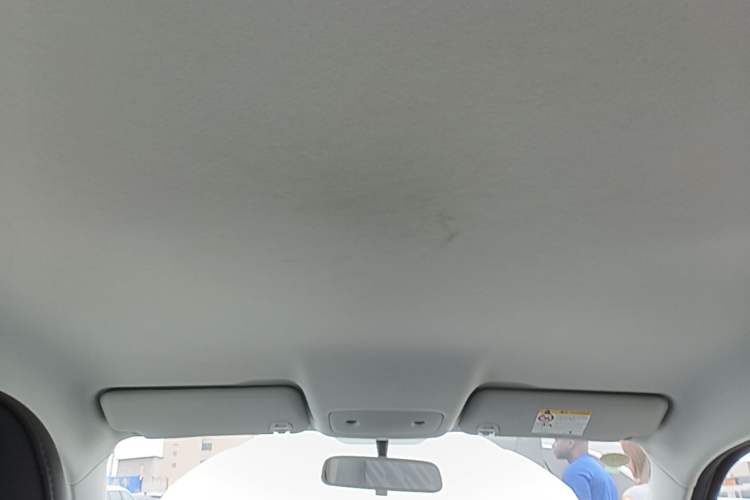 Used Leapmotor T03 2024 403 Comfort Edition Headliner
