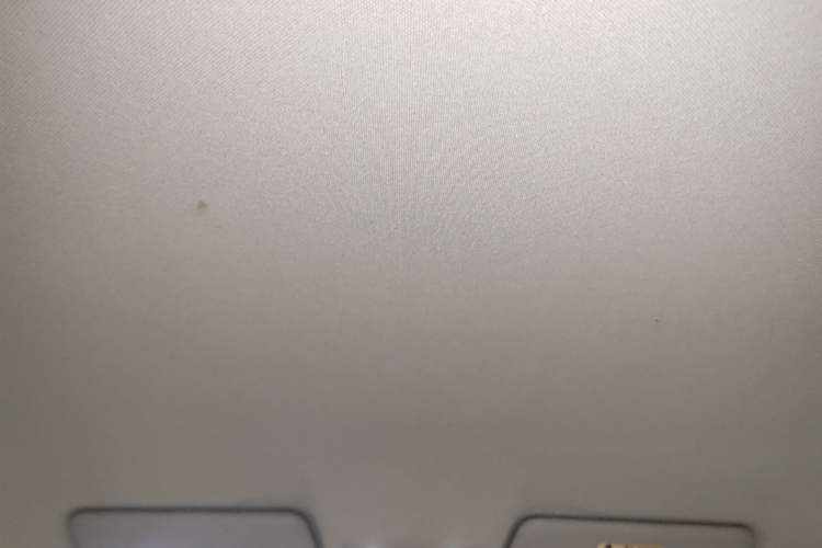 Used Leapmotor T03 2024 403 Comfort Edition Headliner