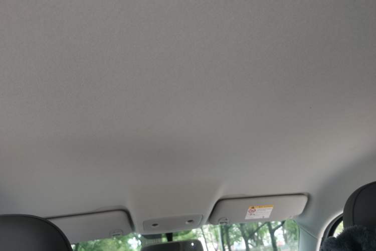 Used Leapmotor T03 2024 310 Comfort Edition Headliner