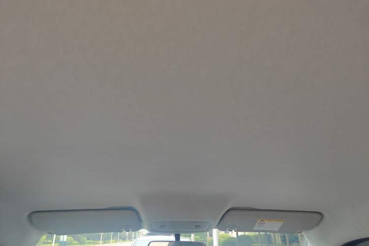 Used Leapmotor T03 2024 310 Comfort Edition Headliner