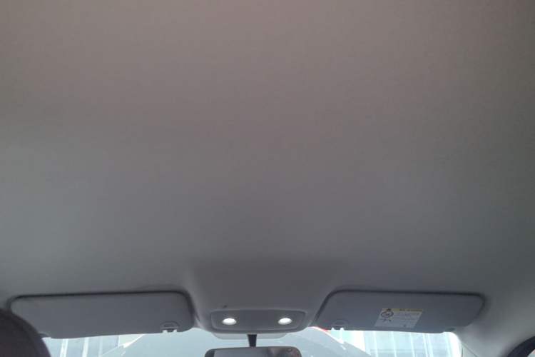 Used Leapmotor T03 2024 310 Comfort Edition Headliner