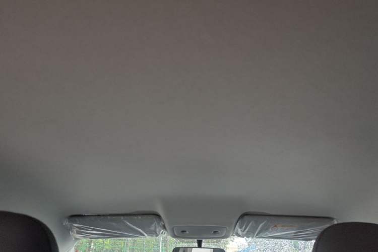Used Leapmotor T03 2024 310 Comfort Edition Headliner