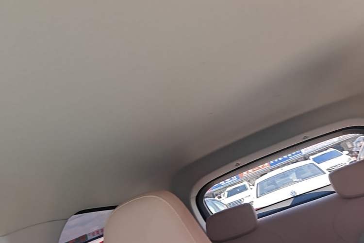 Used Leapmotor T03 2024 310 Comfort Edition Headliner