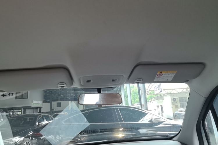 Used Leapmotor T03 2024 310 Comfort Edition Headliner