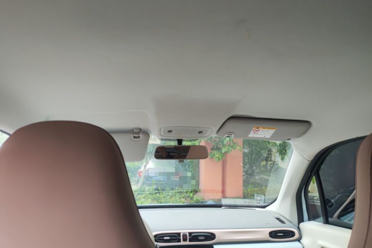 Used Leapmotor T03 2024 310 Comfort Edition Headliner