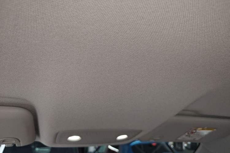 Used Leapmotor T03 2024 310 Comfort Edition Headliner