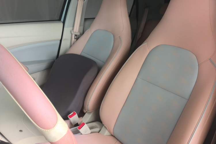 Used Leapmotor T03 2024 310 Comfort Edition Left Front Seat