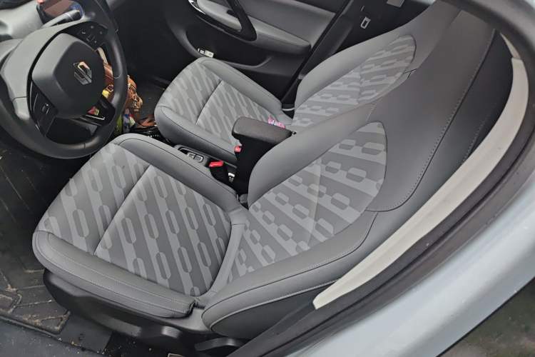 Used Leapmotor T03 2024 310 Comfort Edition Left Front Seat