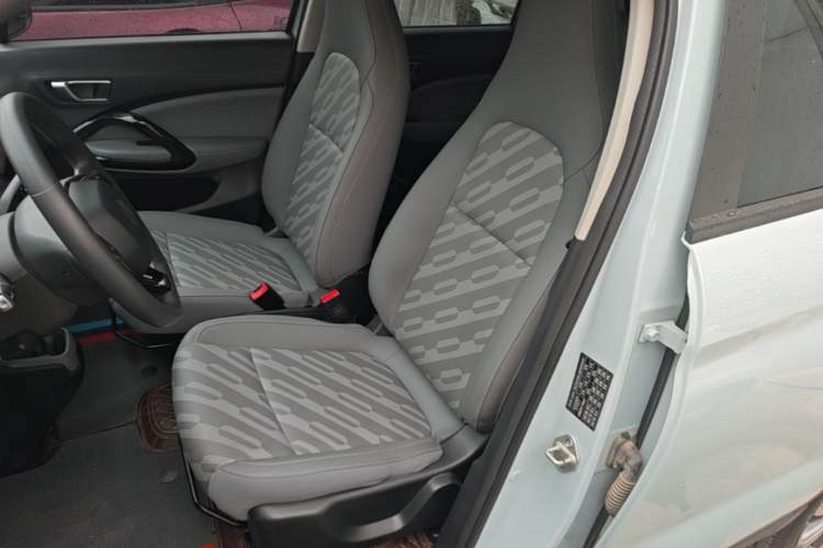Used Leapmotor T03 2024 310 Comfort Edition Left Front Seat
