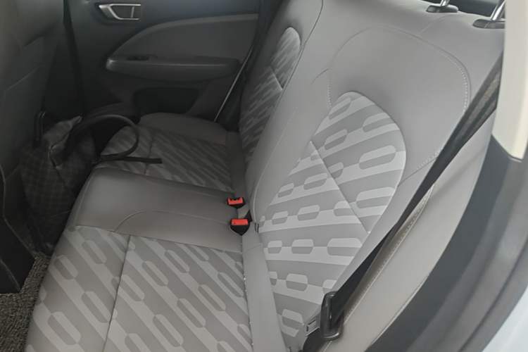 Used Leapmotor T03 2024 310 Comfort Edition Left Rear Seat