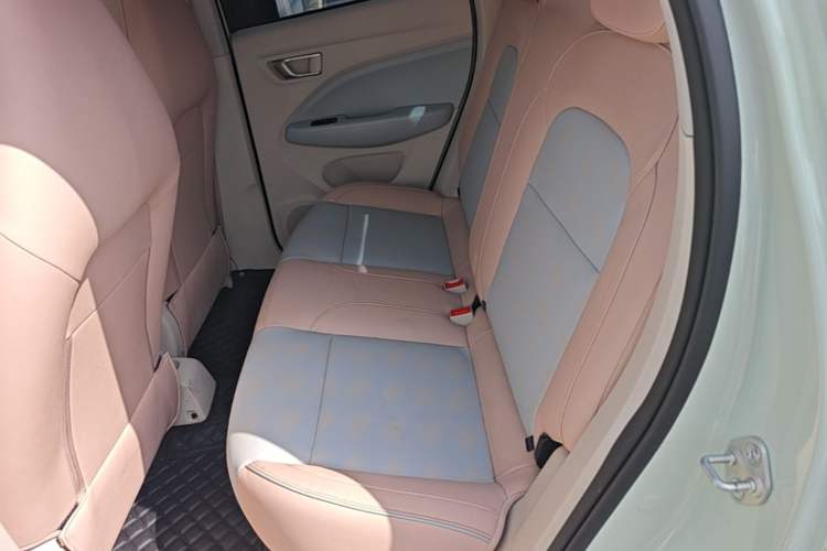 Used Leapmotor T03 2024 310 Comfort Edition Left Rear Seat