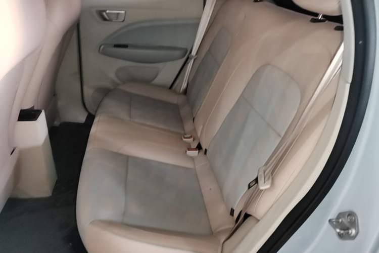 Used Leapmotor T03 2024 403 Comfort Edition Left Rear Seat