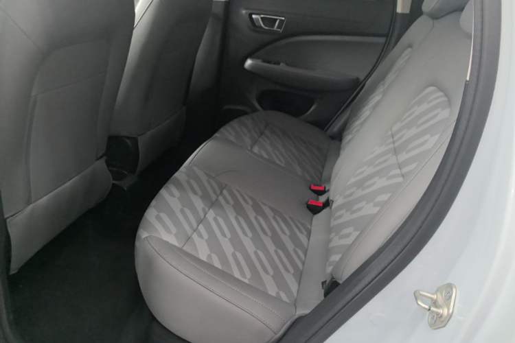 Used Leapmotor T03 2024 310 Comfort Edition Left Rear Seat
