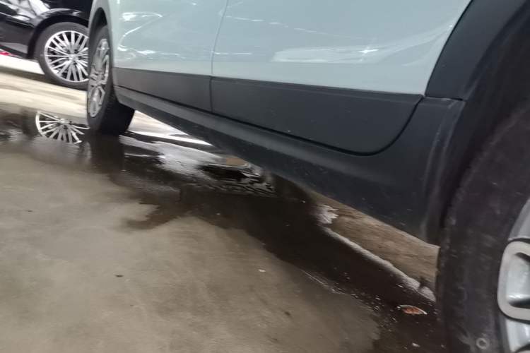 Used Leapmotor T03 2024 310 Comfort Edition Left Side Sill