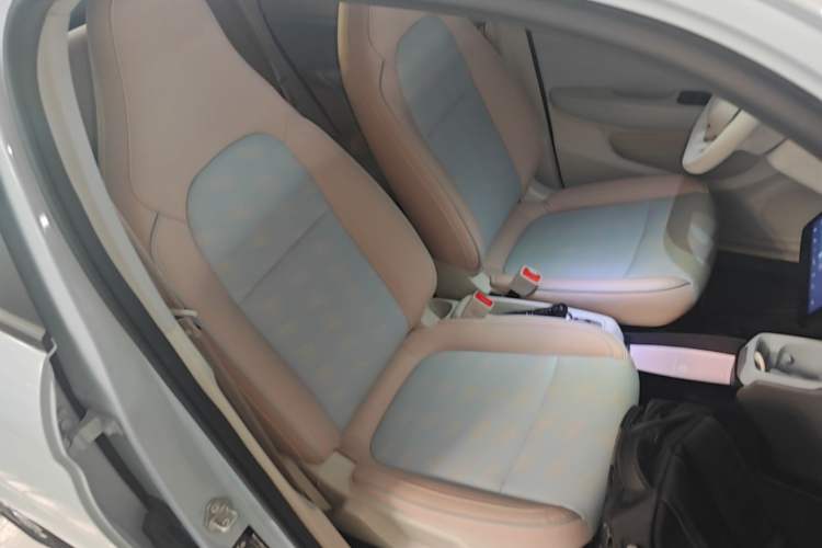 Used Leapmotor T03 2024 310 Comfort Edition Right Front Seat