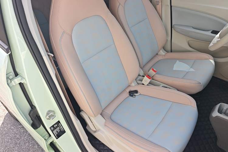 Used Leapmotor T03 2024 310 Comfort Edition Right Front Seat