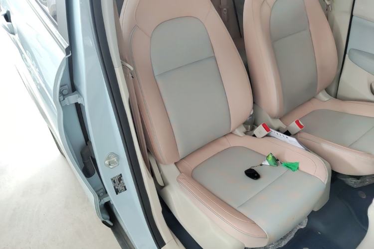 Used Leapmotor T03 2024 310 Comfort Edition Right Front Seat