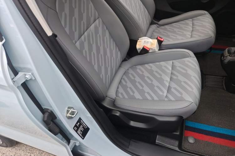 Used Leapmotor T03 2024 310 Comfort Edition Right Front Seat