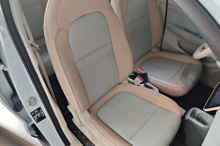 Used Leapmotor T03 2024 310 Comfort Edition Right Front Seat