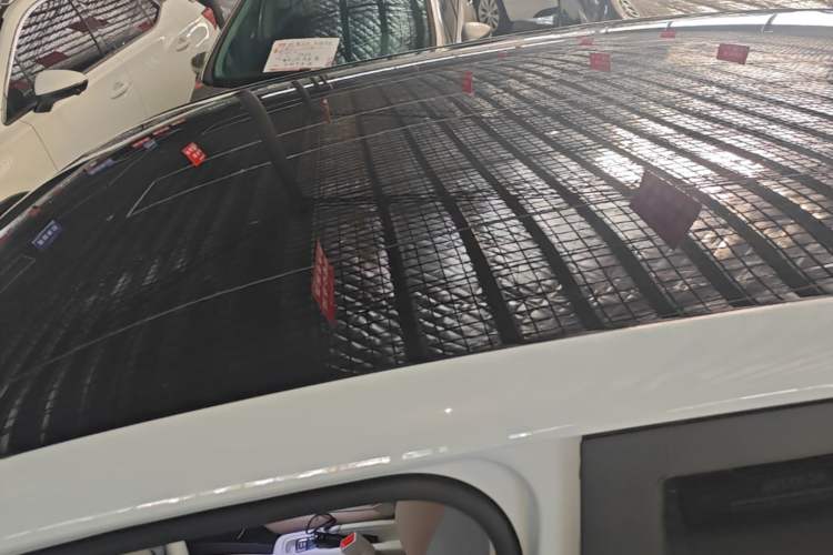 Used Leapmotor T03 2024 310 Comfort Edition Roof