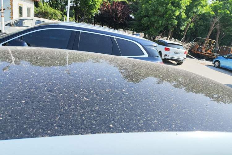 Used Leapmotor T03 2024 310 Comfort Edition Roof