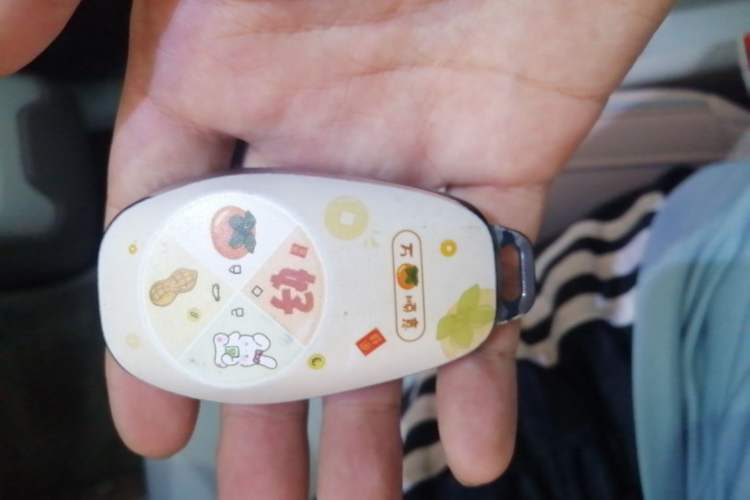 Used Leapmotor T03 2024 310 Comfort Edition Vehicle Key