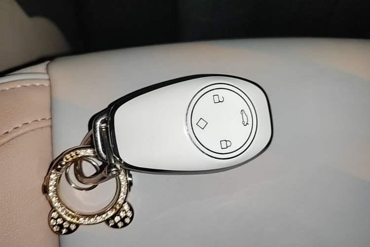 Used Leapmotor T03 2024 403 Comfort Edition Vehicle Key