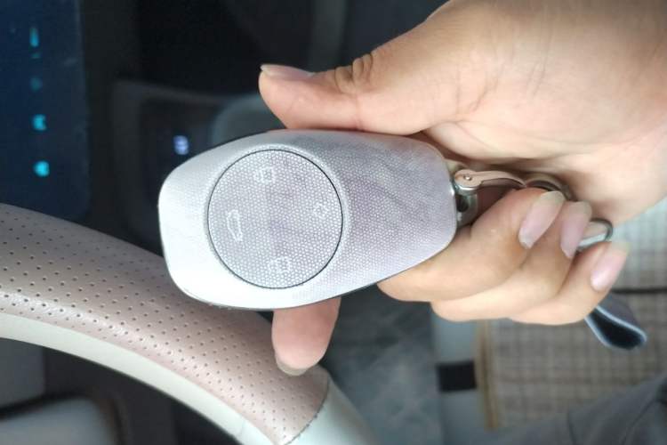 Used Leapmotor T03 2024 310 Comfort Edition Vehicle Key