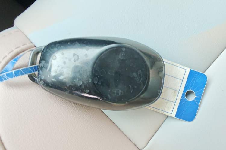 Used Leapmotor T03 2024 310 Comfort Edition Vehicle Key