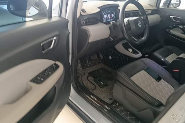 Used Leapmotor T03 2024 200 Lite Edition Driver Seat
